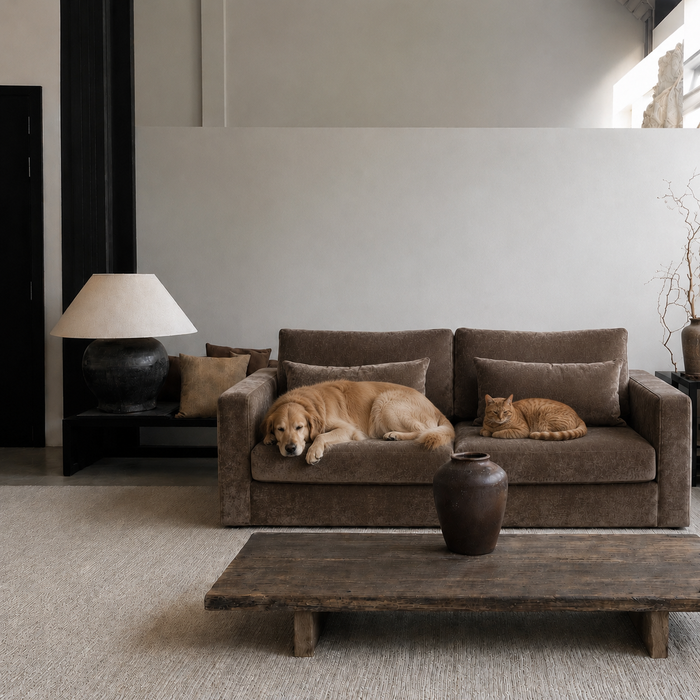 What's the Best Fabric for a Couch if You Have Pets?