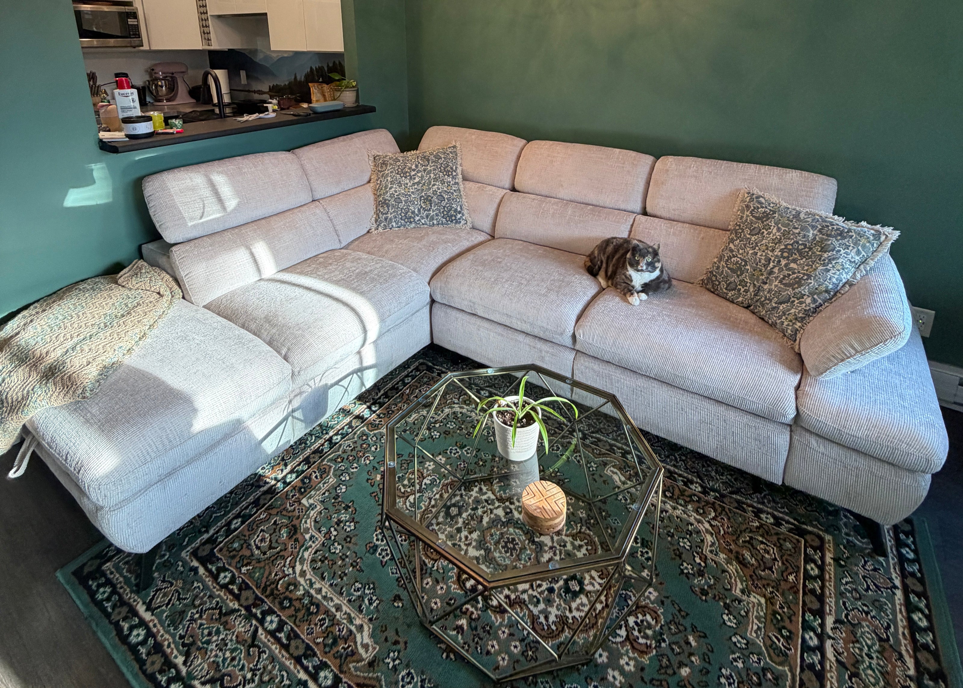 Cream Sectional couch green walls and green carpet 